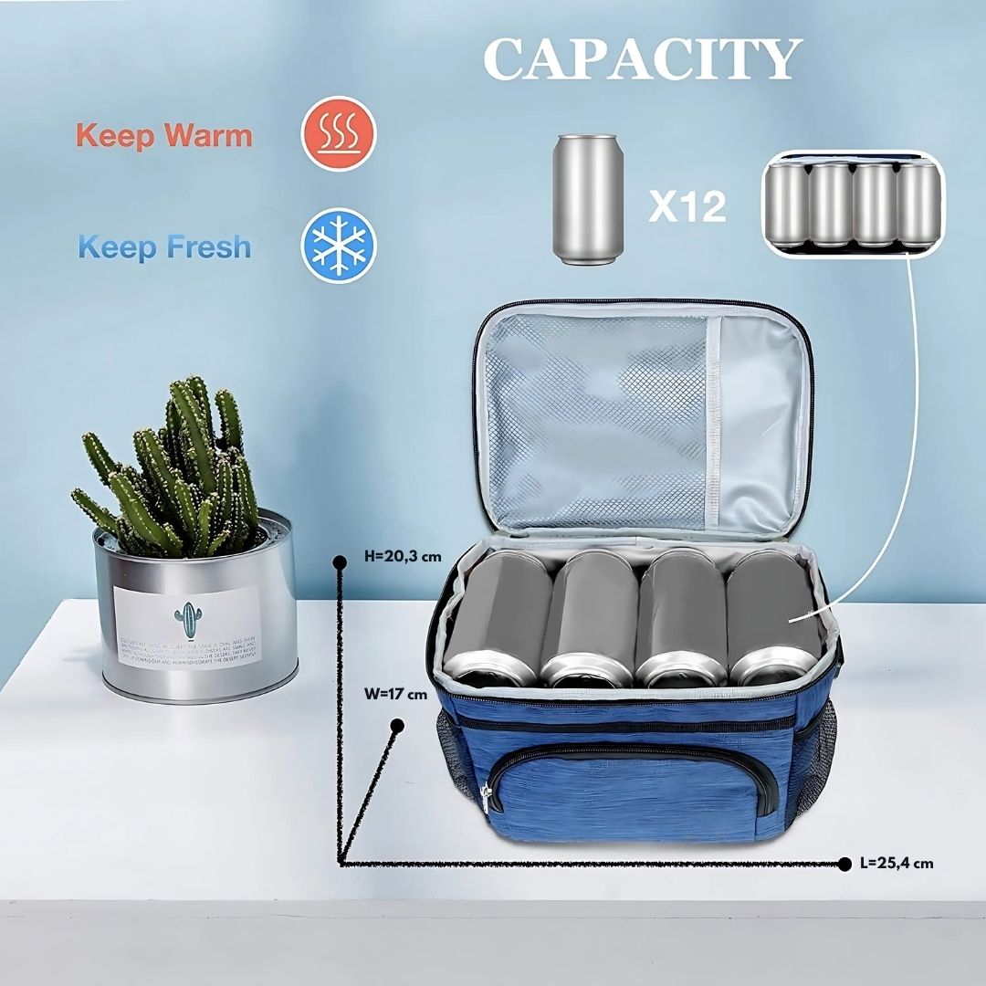 Insulated Lunch Bag